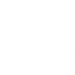 Digital Game Association Logo